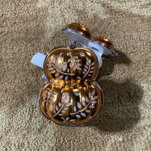 Pumpkin 🎃 wallflower plugs